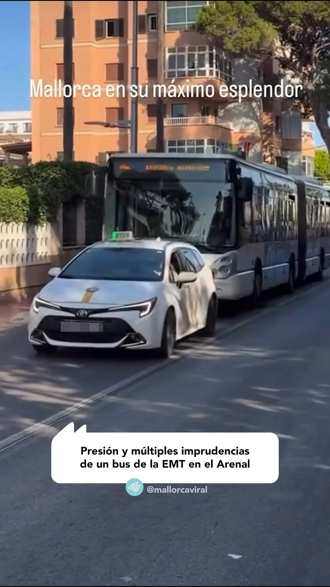 Tensión y múltiples imprudencias de un bus de la EMT en el Arenal