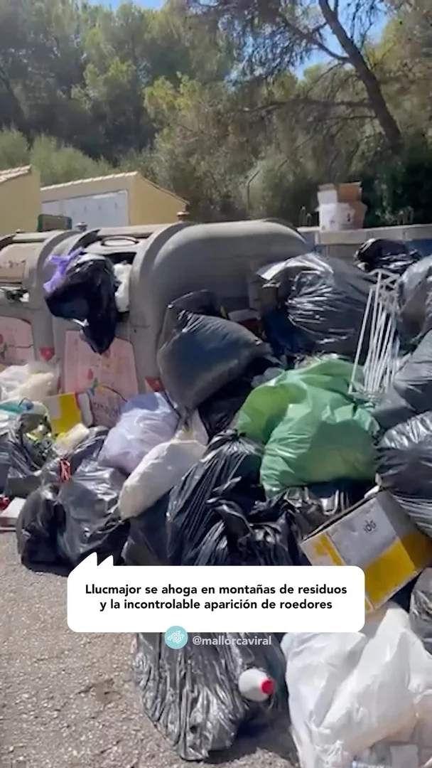 Negligencia en la gestión de basuras en Llucmajor