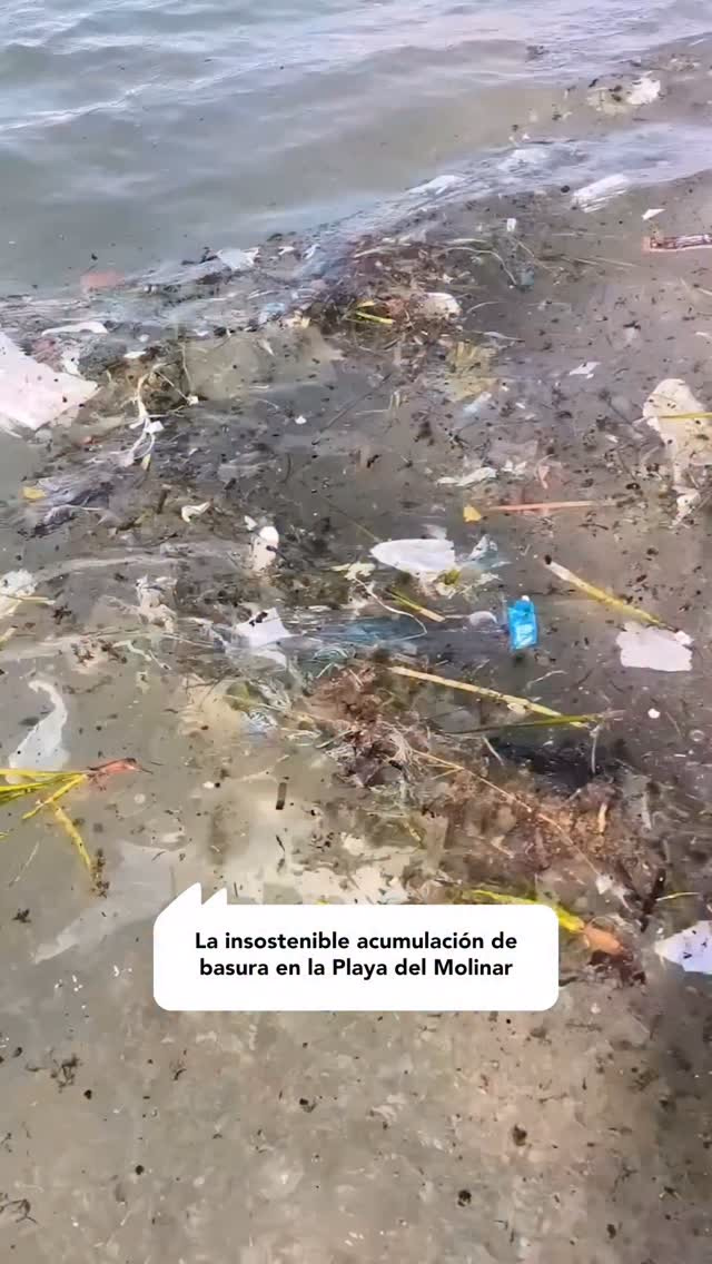 Denuncian la acumulación de residuos en la playa des Molinar