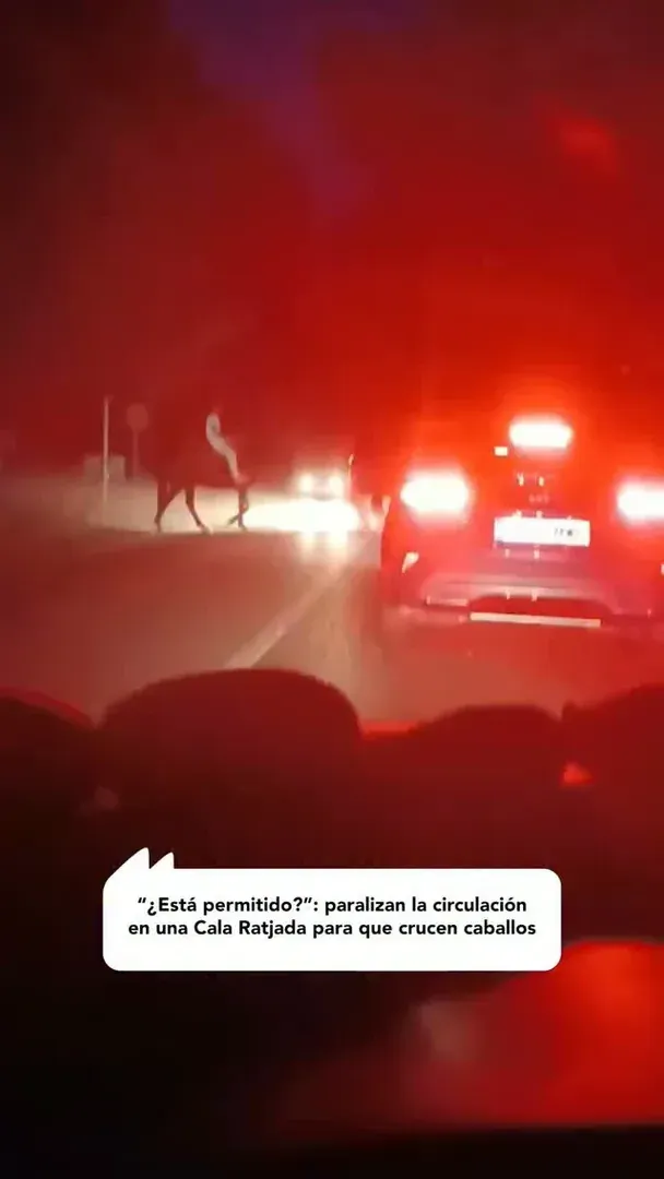 ¿Está permitido?": paralizan la circulación en una Cala Ratjada para que crucen caballos