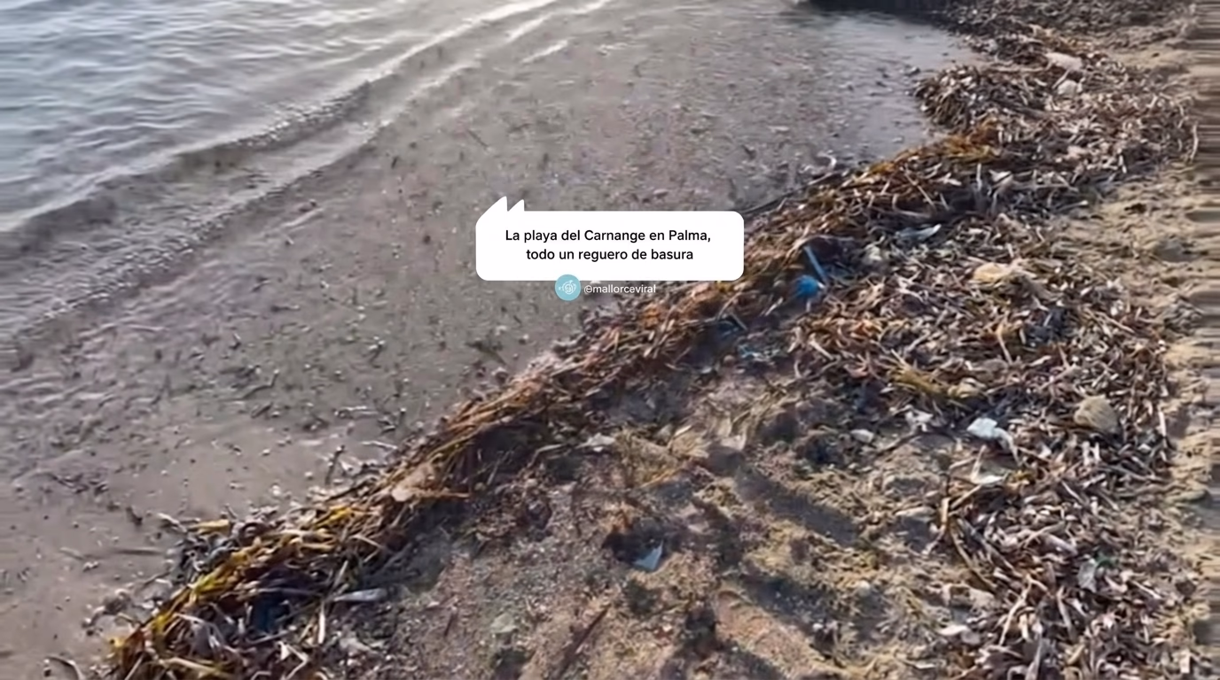 La playa del Carnange en Palma,
todo un reguero de basura