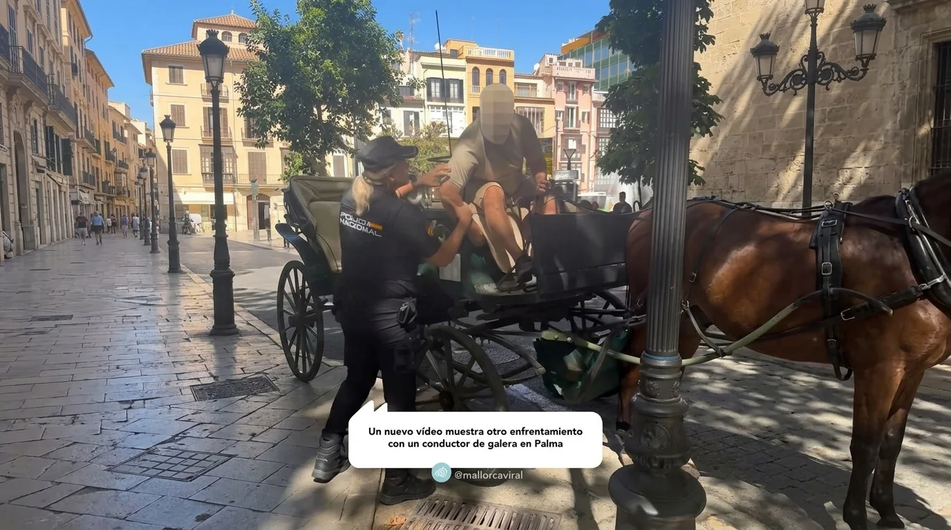 Un nuevo vídeo muestra otro enfrentamiento con un conductor de galera en Palma