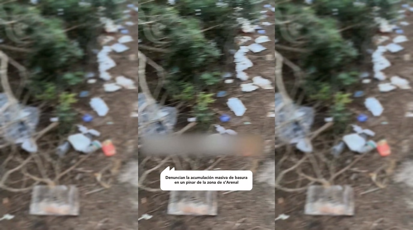 Denuncian la acumulación masiva de basura en un pinar de la zona de s'Arenal