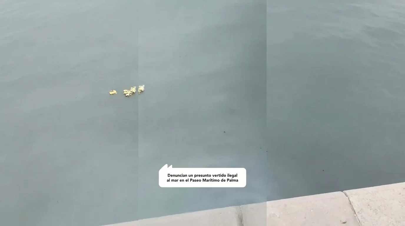 Denuncian un presunto vertido ilegal al mar en el Paseo Marítimo de Palma